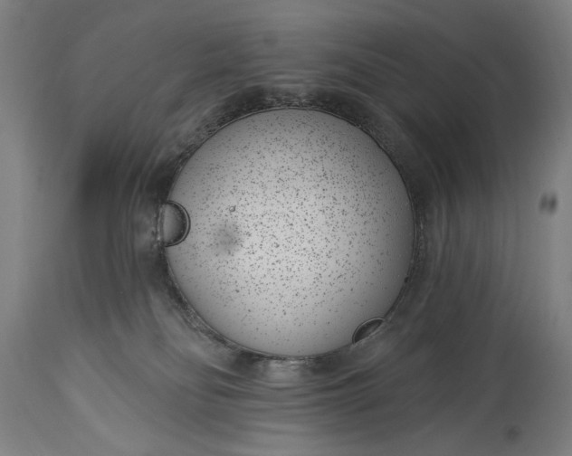 X0000115290134200911161643
