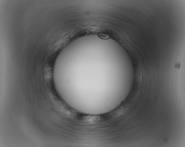 X0000115290135200911161643