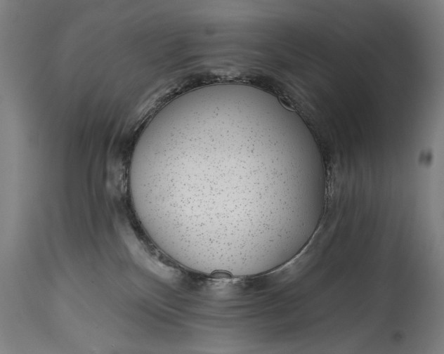 X0000115290136200911161643