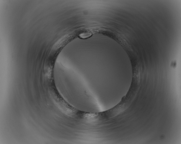 X0000115290139200911161643
