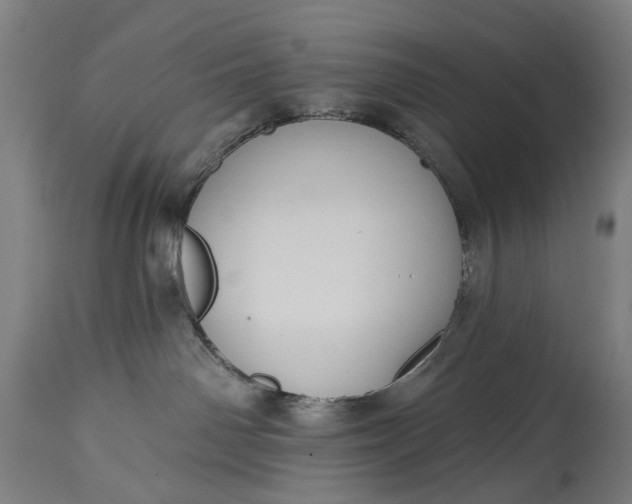 X0000115290142200911161643
