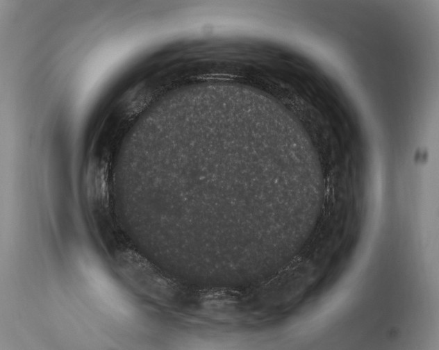 X0000115290146200911161642