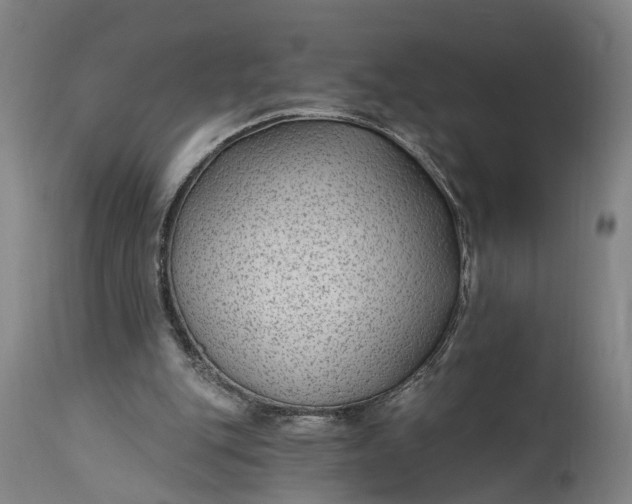 X0000115290151200911161642