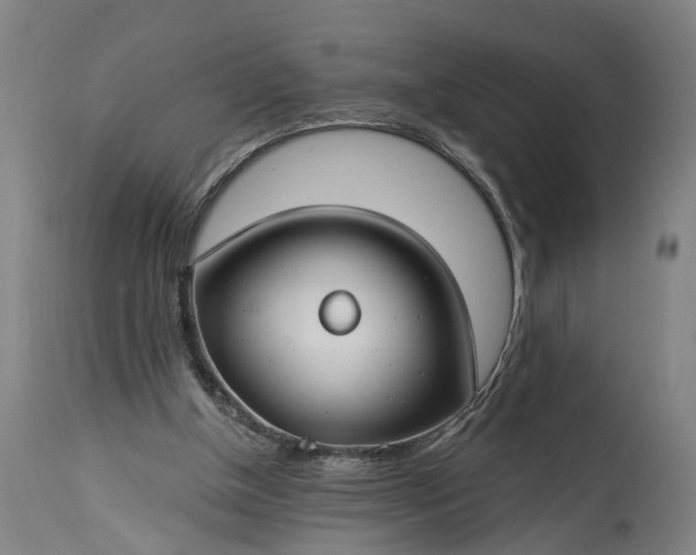 X0000115290154200911161642