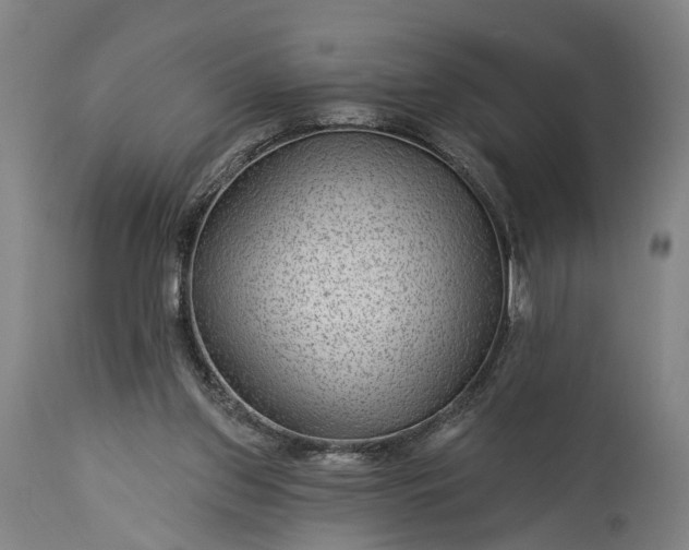 X0000115290157200911161642
