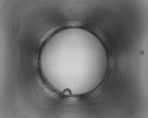 X0000115290159200911161642