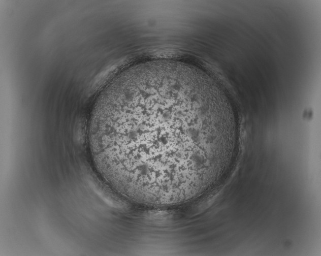 X0000115290161200911161642
