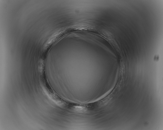 X0000115290167200911161642