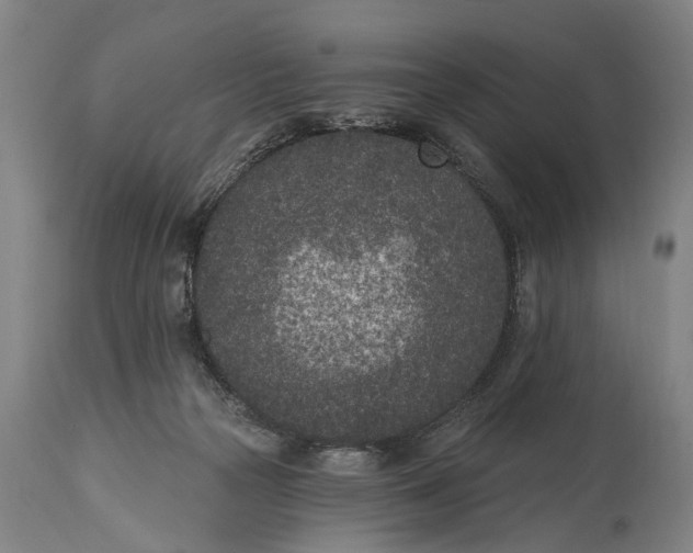 X0000115290169200911161642
