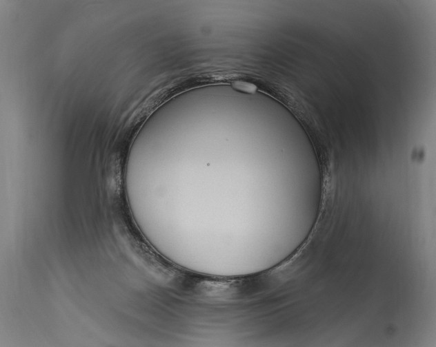 X0000115290170200911161642