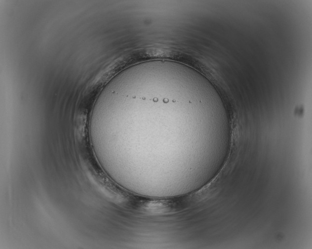X0000115290171200911161642
