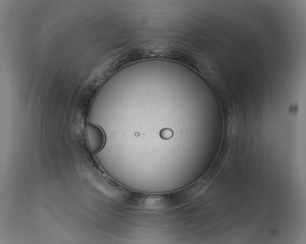 X0000115290173200911161642