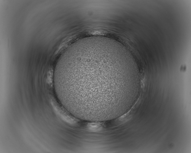X0000115290175200911161642