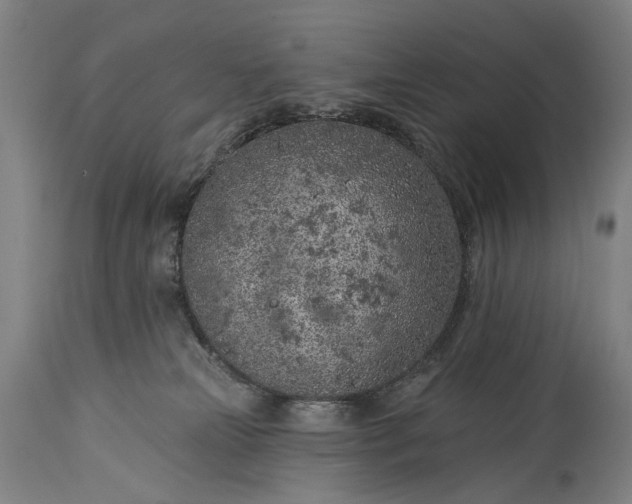 X0000115290181200911161642