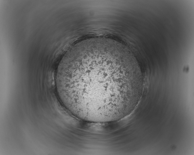 X0000115290182200911161642