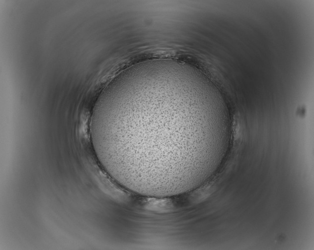 X0000115290185200911161642