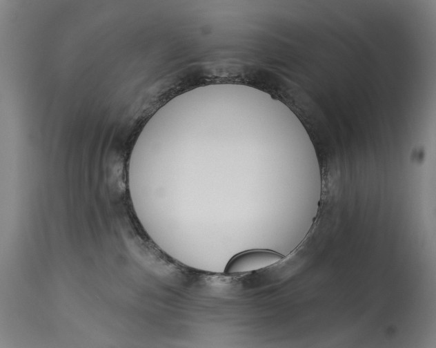 X0000115290187200911161642