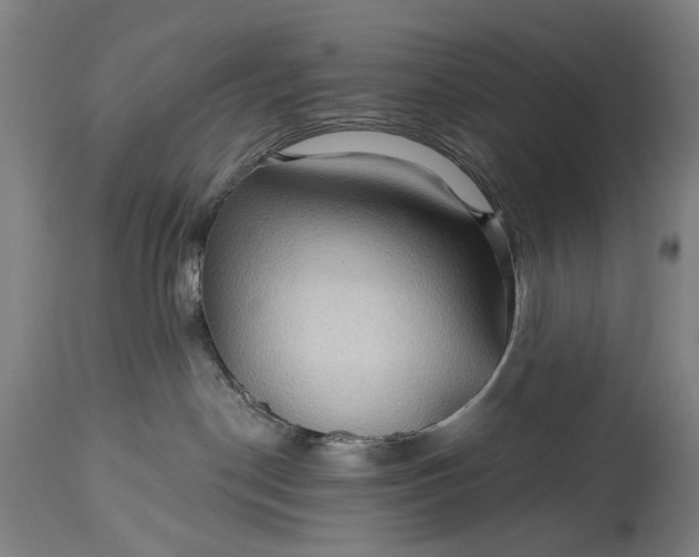X0000115290190200911161642