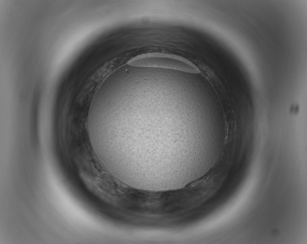X0000115290191200911161642
