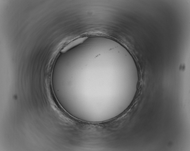 X0000115290193200911161642