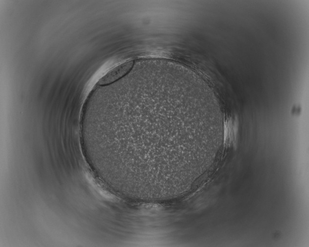 X0000115290195200911161642