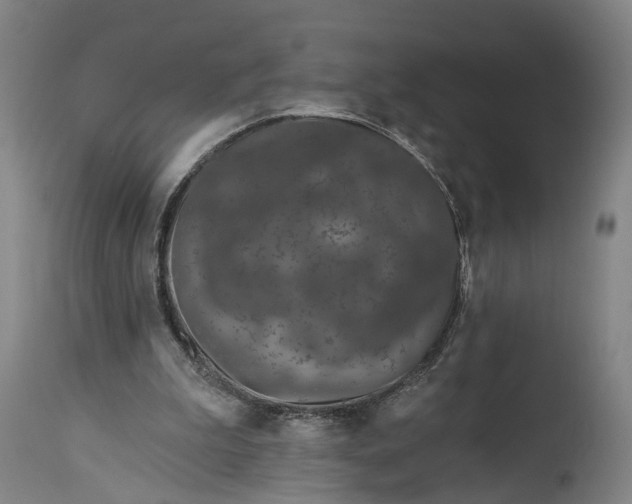 X0000115290199200911161642
