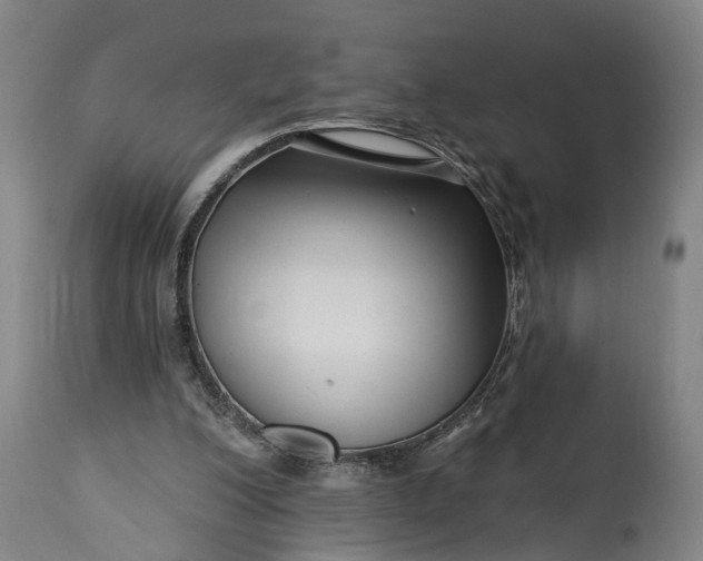 X0000115290200200911161642