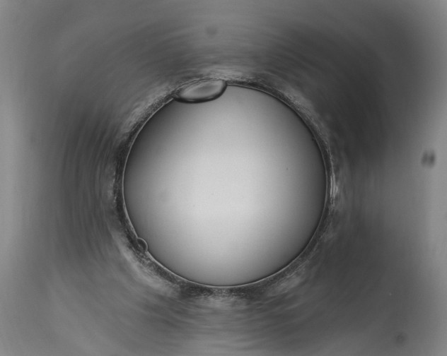 X0000115290201200911161642