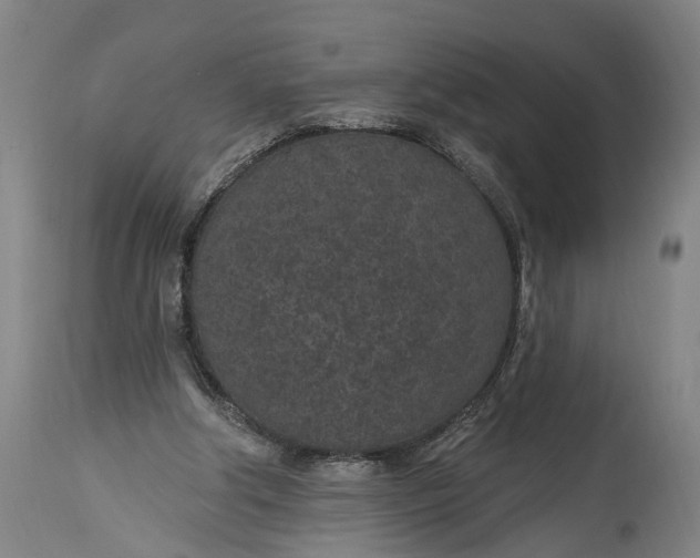 X0000115290202200911161642