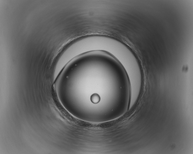 X0000115290203200911161642