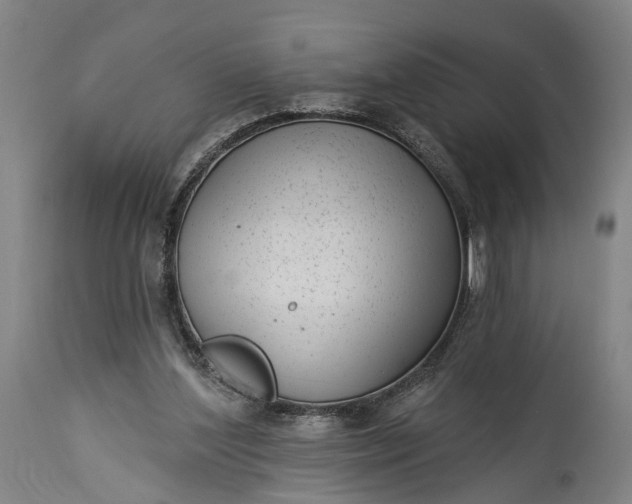 X0000115290204200911161642