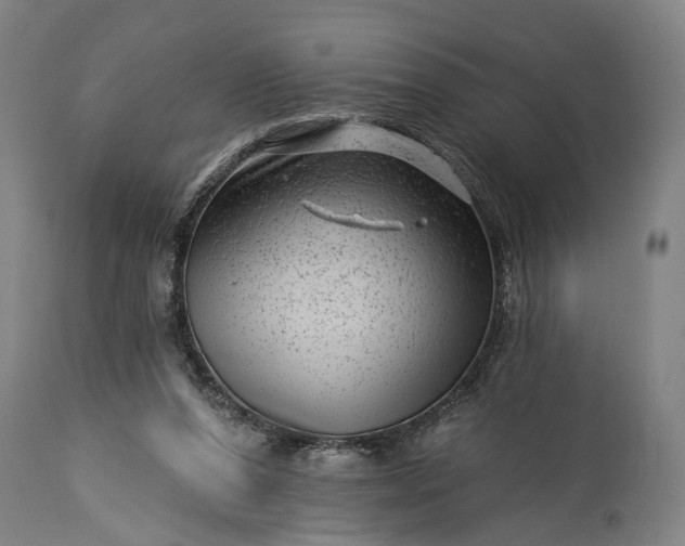 X0000115290208200911161642