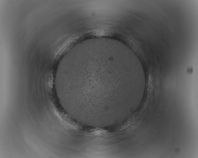 X0000115290210200911161642