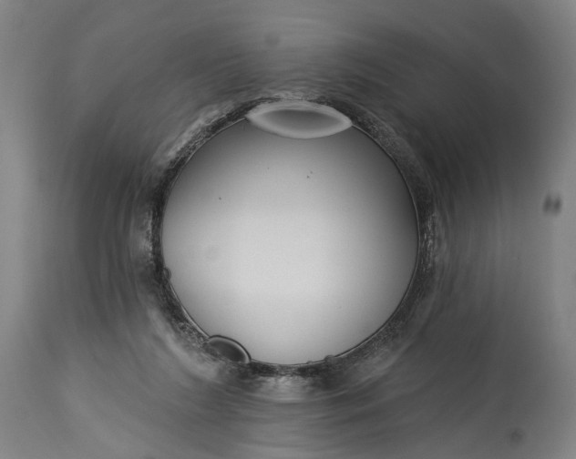 X0000115290212200911161642