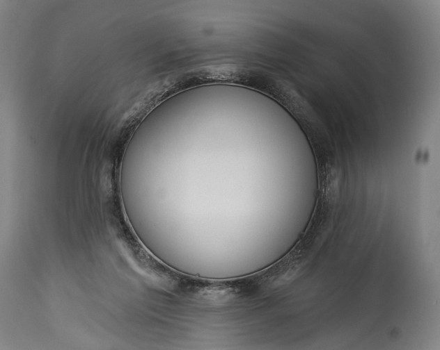 X0000115290213200911161642