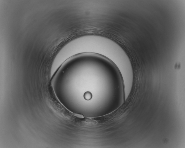 X0000115290215200911161642