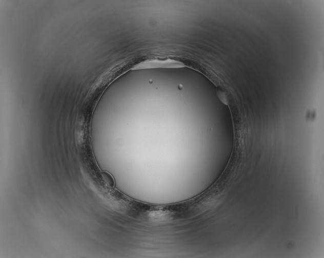 X0000115290216200911161642