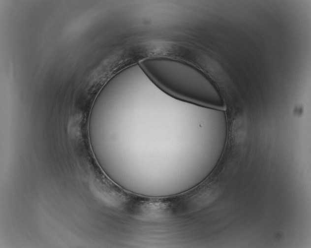 X0000115290217200911161641