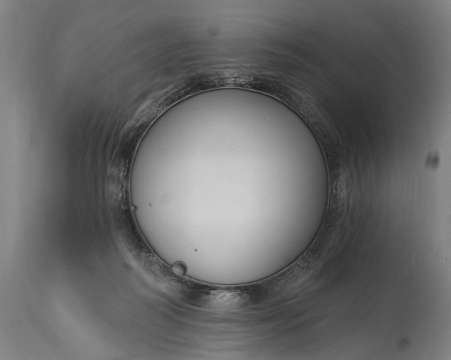 X0000115290218200911161641