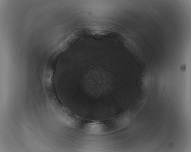 X0000115290219200911161641
