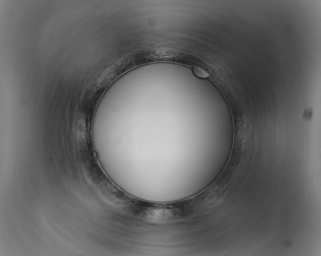 X0000115290220200911161641