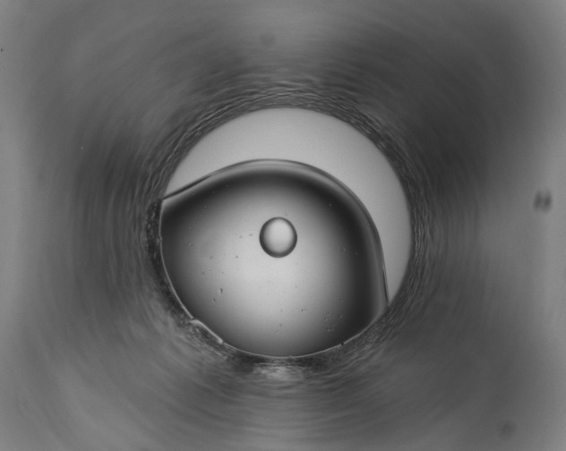 X0000115290221200911161641