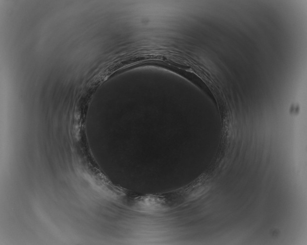 X0000115290223200911161641
