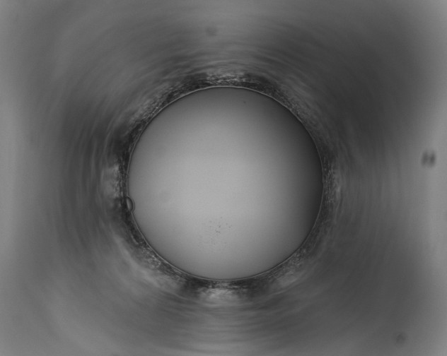 X0000115290224200911161641