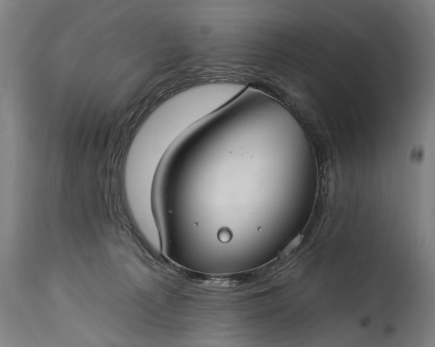 X0000115290225200911161641
