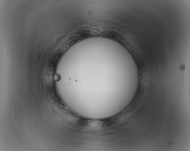 X0000115290226200911161641