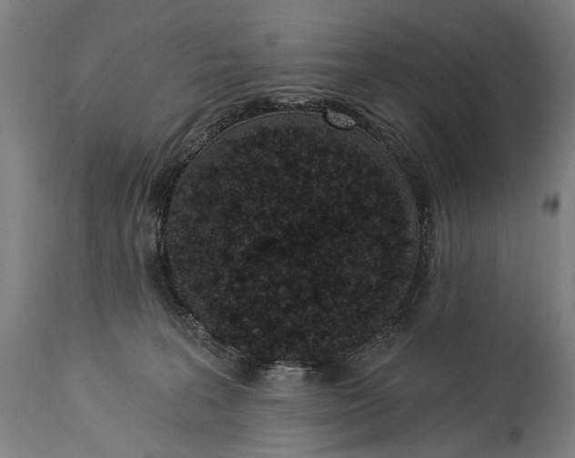 X0000115290227200911161641