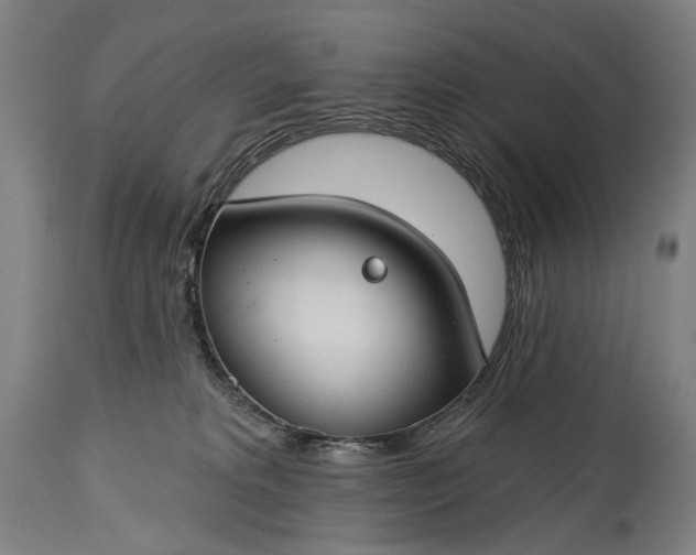 X0000115290229200911161641
