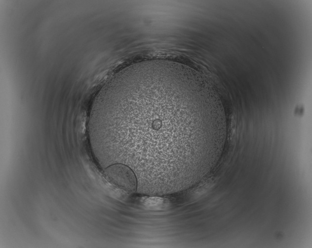 X0000115290230200911161641