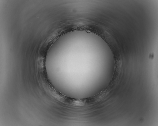 X0000115290232200911161641